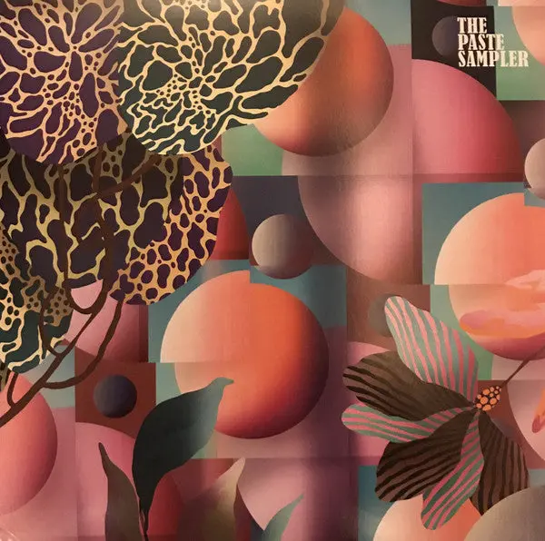 Various - The Paste Sampler: Spring 2017 (Lp, Smplr, Tra) (Nm Or M-) 1
